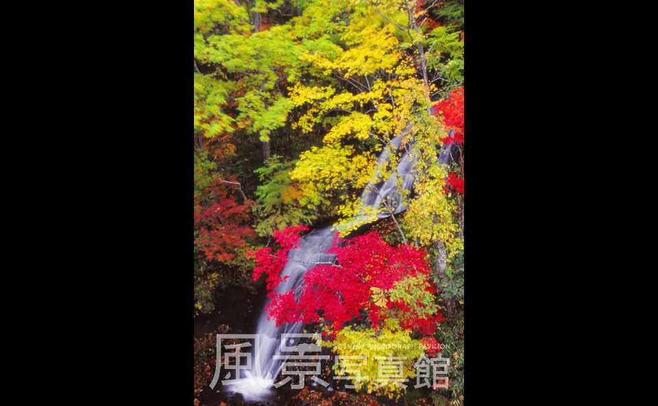 恵庭市｜盤尻　ラルマナイ自然公園　三段の滝　紅葉
