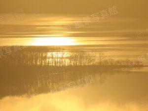 阿寒町｜釧路湿原