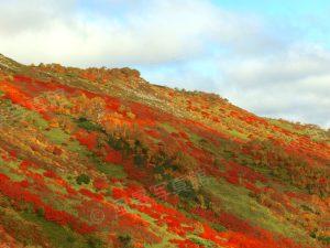 東川町｜大雪山