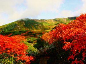 東川町｜大雪山