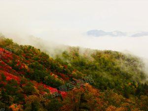 東川町｜大雪山 銀泉台