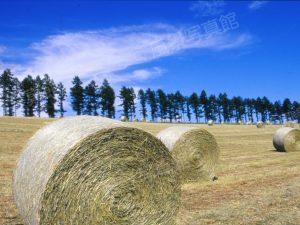 美瑛町｜牧草ロール
